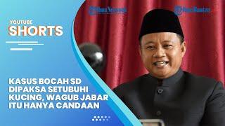 Kasus Bocah SD Tewas seusai Dipaksa Setubuhi Kucing, Wagub Jabar Sebut Aksi Hanya Candaan