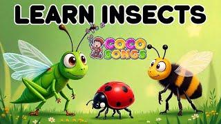 Educational Baby Video | Kids Songs Toddler Learning Video| Learn Bugs & Insects |CoCo Songs Cartoon