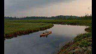 Solo summer canoe trip in the BWCA Wilderness 2024, Little Indian Sioux SOUTH entry.