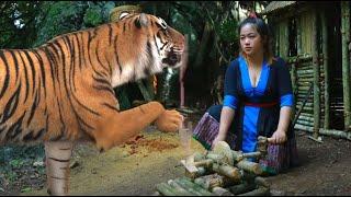 primitive girl loves her tiger and build wind fire fan xia ua lub kiv cua tshuab hluas taws