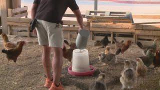 Team of SAISD instructors go above and beyond to keep student-run farm ready for school