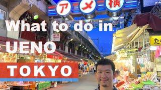 A Must See Area in Tokyo for Sight Seeing  What's in Ueno, Tokyo