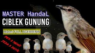 2 JAM || Master Ciblek Gunung Materi Brennn Rapet Panjang