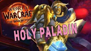 Should You Play HOLY PALADIN? | The War Within Summary - Hero Talents & More