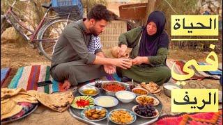 حياة الريف في شمال العراق/ ناحية الزوية Rural life in villages and simple wild life