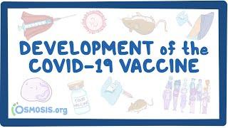 Development of the COVID-19 Vaccine