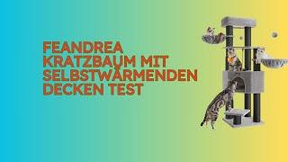 Feandrea Kratzbaum mit selbstwärmenden Decken im Test [KURZ & KOMPAKT] Zusammengefasst