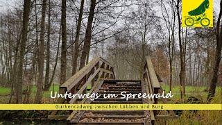 Unterwegs im Spreewald (Gurkenradweg)