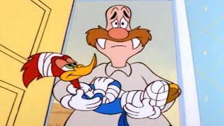 Wally Takes Care of Woody | 1 Hour of Woody Woodpecker Full Episodes