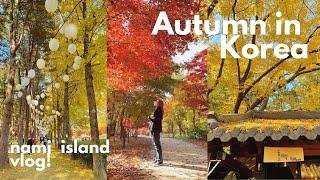 autumn outside of seoul ️ a day on nami island and garden of morning calm in gapyeong, korea VLOG