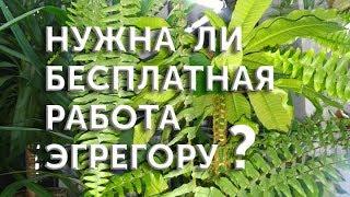 Нужна ли бесплатная работа эгрегору?