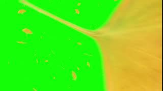 Falling yellow leaf transition green screen