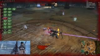 Guild Wars 2: Confusion Bug #1