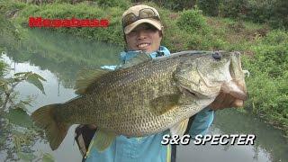 MEGABASS MOVIE #251　”止める”と”乱す”を引き起こす「S&G SPECTER」