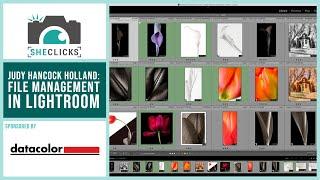 File Management in Lightroom