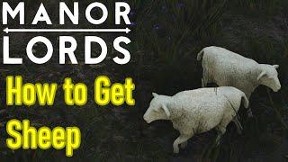 Manor Lords how to get sheep for pastures