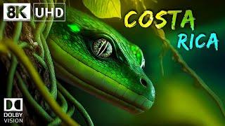 COSTA RICA  8K Video Ultra HD 60FPS Dolby Vision | Costa Rica 8K HDR | 8K TV