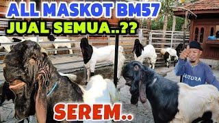 ADA YANG SEREM‼️KAMBING KAMBING SUPER KELUAR DARI KANDANG