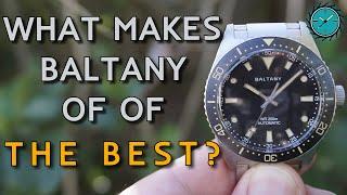 What makes this brand so goo? [Baltany S3080Review]