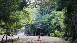 My first Ayahuasca experience at Soltara Healing Center, Costa Rica -- a montage