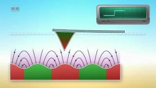 Atomic Force Microscopy