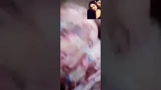 Aliza seher leake video#alizasehar #alizaleakevideo #alizasehervlogviralvideo #leak#pakistanivlogger