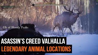 All 9 Assassins Creed Valhalla Legendary Animal locations