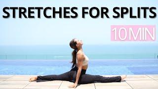 10 MIN STRETCHES TO GET YOUR SPLITS | Increase Your Flexibility and Mobility | 2 WEEK CHALLENGE
