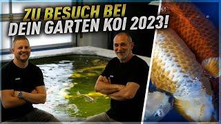 Es war spontan und es war gut! Fische mit +100cm! Zu Besuch bei Dein Gartenkoi!