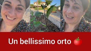 BENEDETTA : IL MIO BELLISSIMO ORTO 🪴 Fatto in Casa da Benedetta #vlog #novita