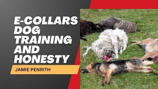 E-Collars, Dog Training and Honesty