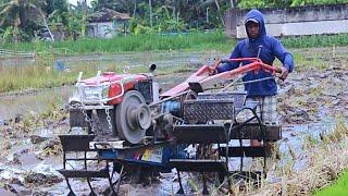 Mesin Baru..!!Traktor Sawah Diesel Kubota Menjajal Mesin Baru Untuk Membajak Sawah