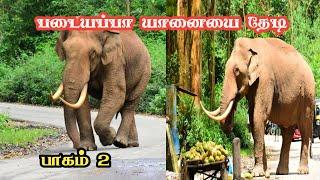 Padayappa Elephant Hunting Part2 | Echo Point | Munnar Tourist Places | Jolly Trip