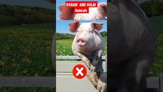 Haram VS Halal animals in Islamic #viral #youtubeshorts  #viralvideo#viralvideo #animals