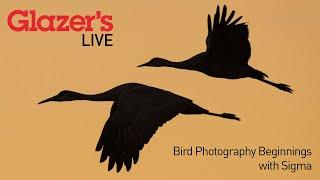 Glazer's Live: Bird Photography Beginnings with Sigma's Brett Wells