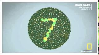 Brain Games- Color Blindness and Gestalt Similarity