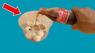 Pour Cocacola into egg shells! The results were shocking because they were so unexpected