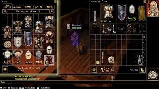 NeverWinter Nights, Silent gameplay