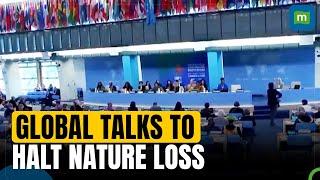 COP16: Biodiversity negotiations on the cards as nations meet in Rome | N18G