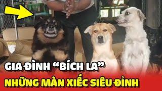 Gia đình "Bích La" gây sốt với những màn xiếc siêu đỉnh 