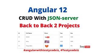 Angular 12 CRUD with JSON-server, Angular CRUD with json-server Project from scratch, CRUD Operation