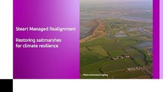 Steart Managed Realignment - Restoring saltmarshes for climate resilience