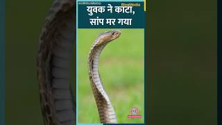 यूवक सांप को डसा। सांप मर गया।#biharnawada #viralshort #viralvideo #blogmedia