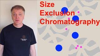 Size Exclusion Chromatography (SEC)