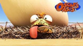 Baby Chicken Oscar COMPILATION | Oscar's Oasis | Kids Cartoons