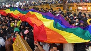 Pride Month: "I Am Gay, I Am Here", Inside Delhi's Queer Pride