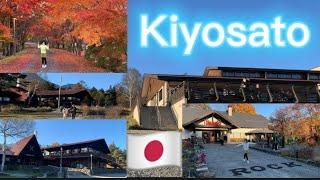 Kiyosato: Seisen-Ryo: Kiyosato no Mori: Moeginomura: Hokuto, Yamanashi, Japan