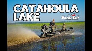 GatorTail Mud Motor on Catahoula Lake | Gator Tail GTR GTRXD