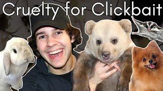 Harmful Humor: David Dobrik’s Unethical Use of Animals in Content