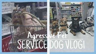 SERVICE DOG VLOG | aggressive pet in target/ SD meetup